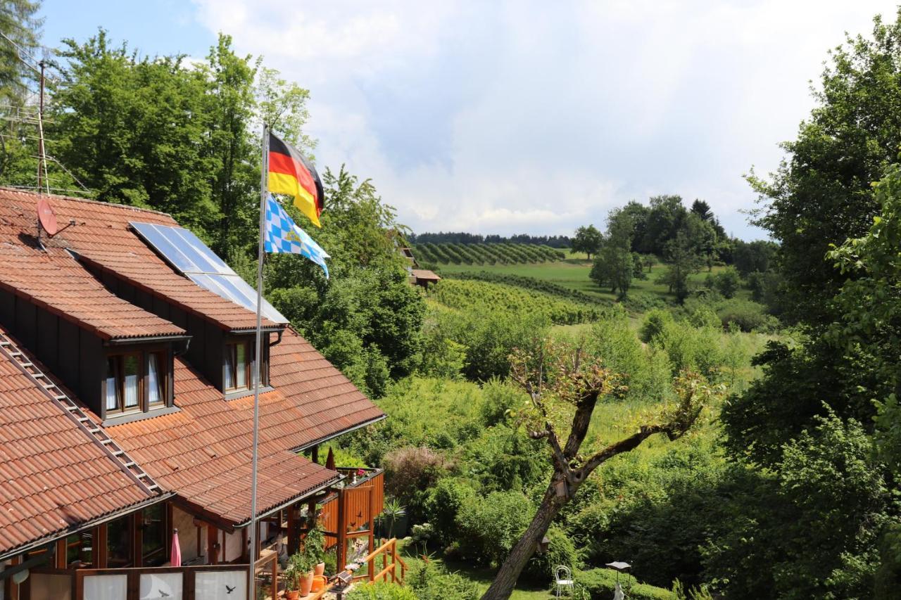 #5 Mit Balkon - Zentrale Dennoch Ruhige Lage Mit Terrasse - Stadtbus Vor Der Tuer! *